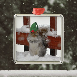 Carré Argenté Jaunty Squirrel avec Elf Casquette Ornement de Noë
