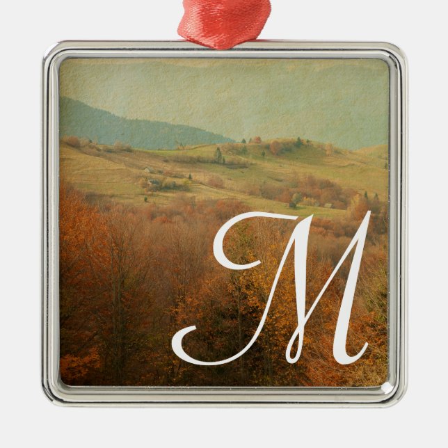 Carré Argenté Monogramme latéral italien Ornement initial (Devant)