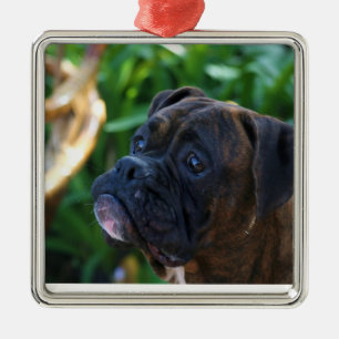 Carré Argenté Ornement Brindle de chien de boxeur