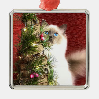 Carré Argenté Ornement d'arbre de Noël de Birman