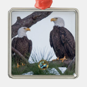 Carré Argenté SWFL Eagle Cam Couple Buts Ornement