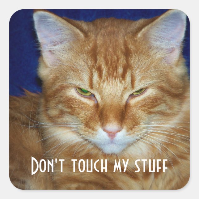Carré Bad Mood Tabby Sticker Chat (Devant)