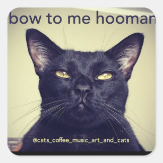 Carré Batcat : arc à moi hooman Sticker