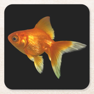 Carré Beau Dessous de verre de poissons rouges