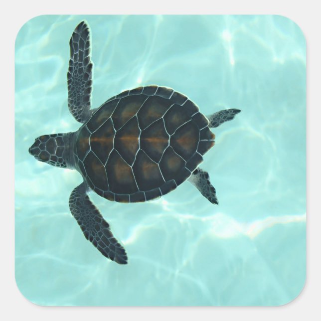 Carré Bébé Sticker de tortue de mer (Devant)