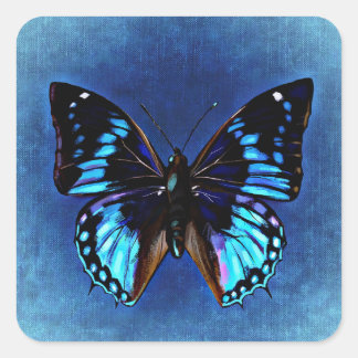 Carré Bleu sur Bleu Sticker Papillon