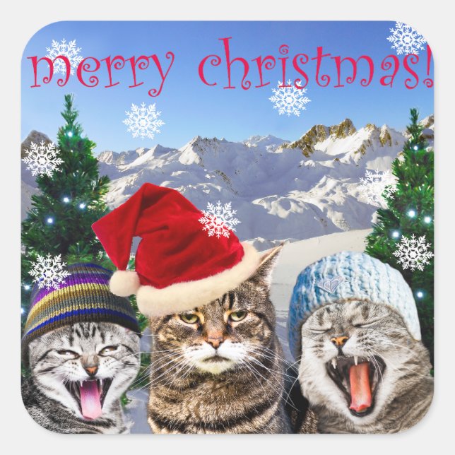Carré "Bob Humbug" Chat Thème Sticker de Noël (Devant)