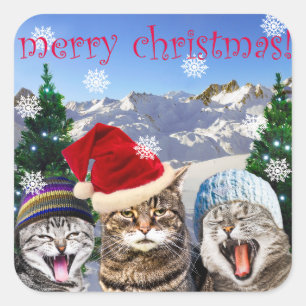 Carré "Bob Humbug" Chat Thème Sticker de Noël