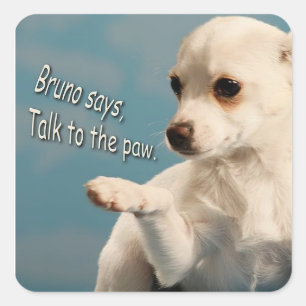 Carré Bruno Dit Parler Au Sticker Paw