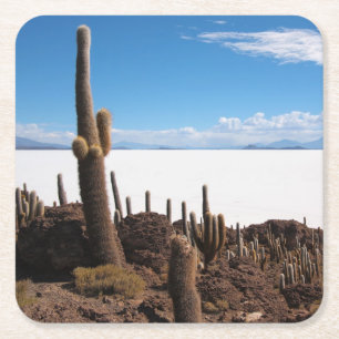 Carré Cactus géant aux dessous de verre de Salar de