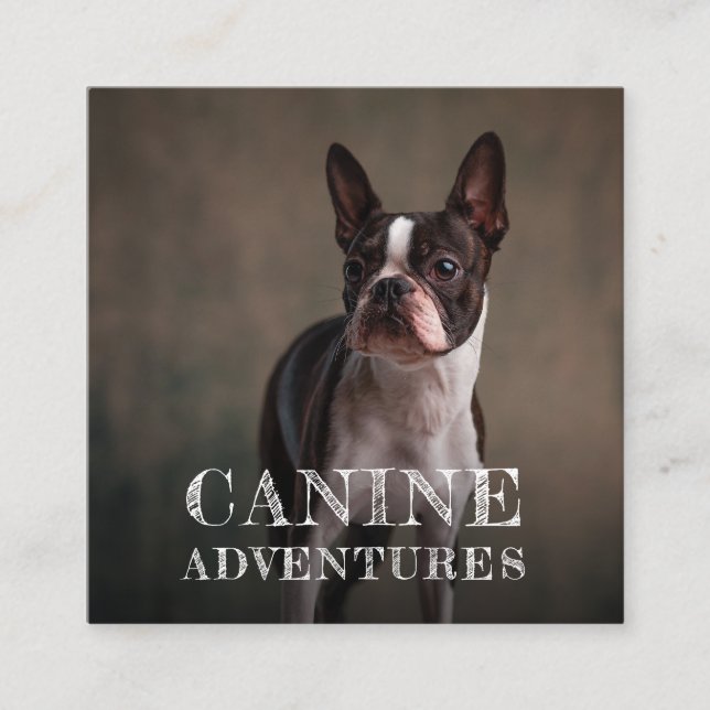 Carré Carte de visite Aventures de chiens et march (Devant)
