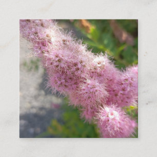Carré Carte de visite florale Fleur d'Astilbe rose pour