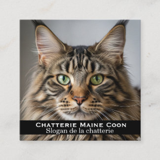 Carré Carte de visite personnalisée Chatterie Maine Coon