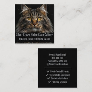 Carré Carte de visite pour élevage de Maine Coon personn