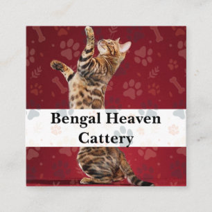 Carré Carte de visite pour éleveur de chats Bengal perso