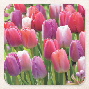 Carré Champ de Dessous de verre des tulipes
