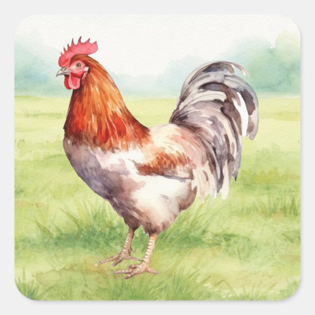 Carré Chicken Farm Sticker (Devant)