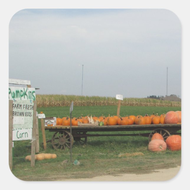 Carré Citrouille Patch Automne Automne Halloween Sticker (Devant)