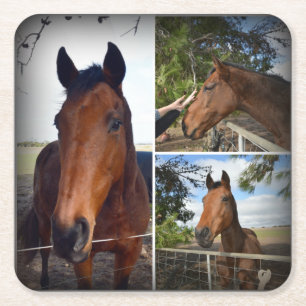 Carré Collage photo de cheval Brown, Dessous de verre en