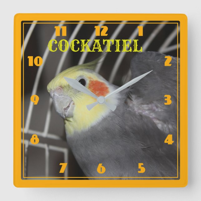 CARRÉ de fermeture COCKATIEL horloge (Recto)