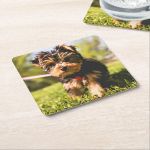 Carré Dessous de verre de chien mignons 9