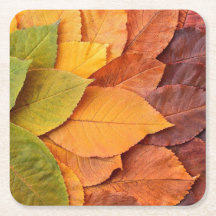 Dessous de verre de feuillage d'automne : La natur