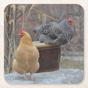 Carré Dessous de verre de la fête des poulets contaminés