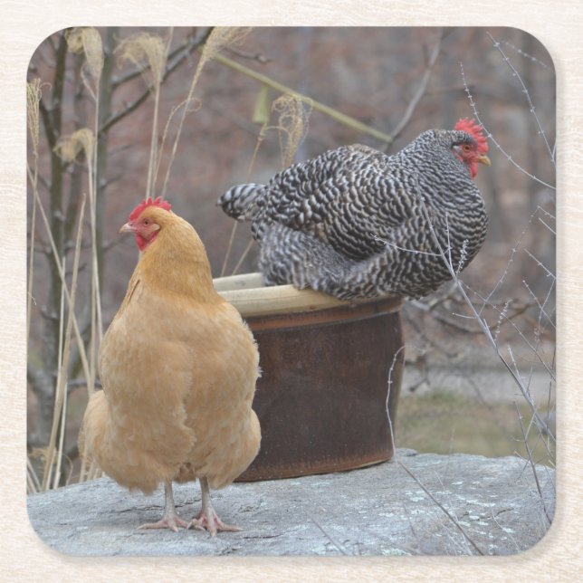 Carré Dessous de verre de la fête des poulets contaminés (Devant)