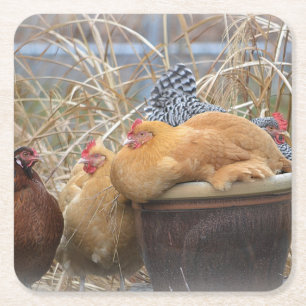 Carré Dessous de verre de la fête du poulet