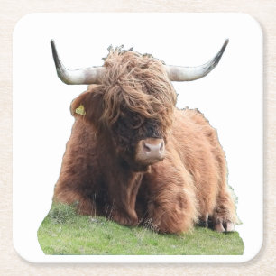 Carré Dessous de verre de la vache Moo de Highland