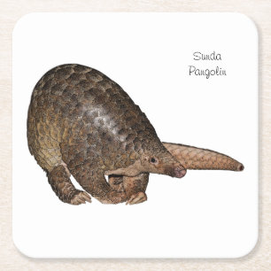 Carré Dessous de verre de Pangolin de Sunda