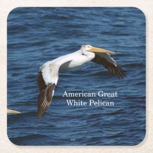 Carré Dessous de verre de papier américain Great White P