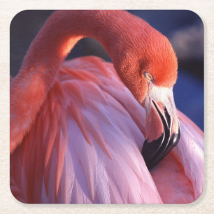 Carré Dessous de verre de papier Flamant rose