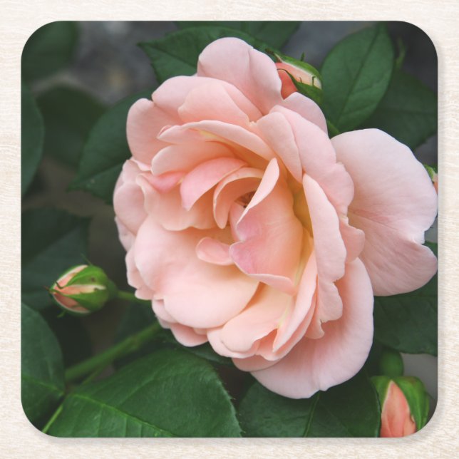 Carré Dessous de verre de papier floral Rose (Devant)