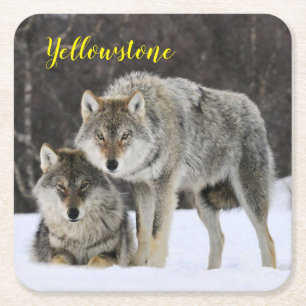 Carré Dessous de verre de papier Set Wolf Yellowstone