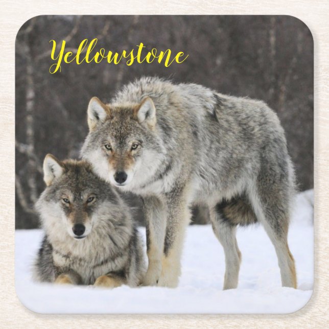 Carré Dessous de verre de papier Set Wolf Yellowstone (Devant)