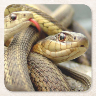 Carré Dessous de verre de serpents très Cool