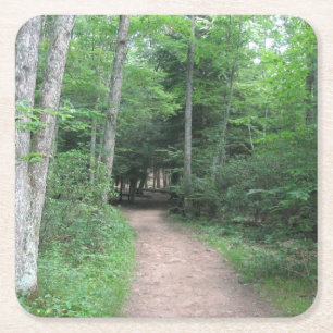 Carré Dessous de verre du parti Woodsy Path
