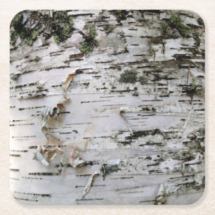Carré Dessous de verre en bois de bouleau 001