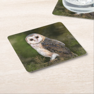 Carré Dessous de verre en papier de Barn Owl