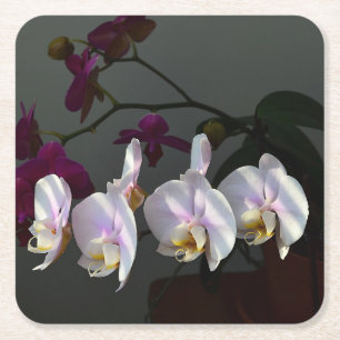 Carré Dessous de verre en papier orchidée