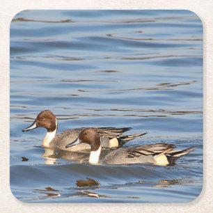 Carré Dessous de verre en papier pour canards à intail