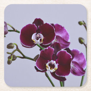 Carré Dessous de verre en papier violet orchidée