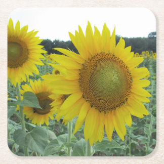 Carré Dessous de verre gais de tournesol