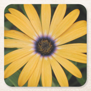 Carré Dessous de verre Jaune Daisy Party