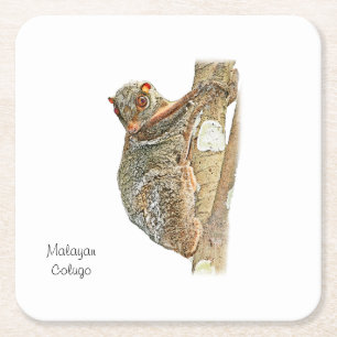Carré Dessous de verre malais de Colugo