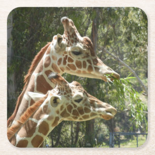 Carré Dessous de verre Momma et Baby Giraffe