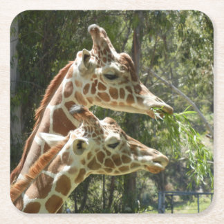 Carré Dessous de verre Momma et Baby Giraffe