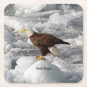 Carré Dessous de verre papier Bald Eagle