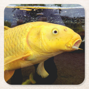 Carré Dessous de verre papier Koi Carp